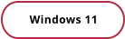 Windows 11